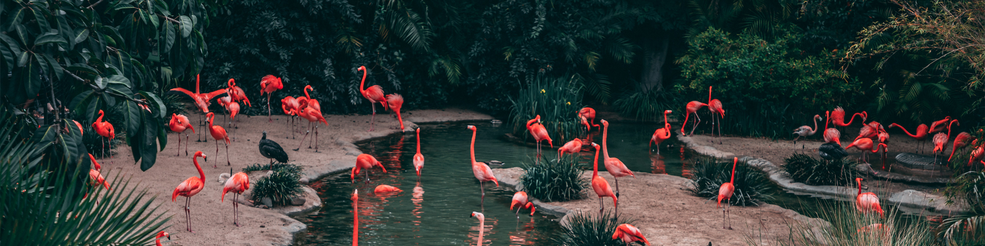 新疆兵旅国际旅游集团有限公司